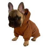 Top 5 Reasons to Snag Our Pet Pocket Hoodies – Stylish Comfort for Pets