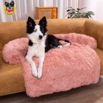 Indulge Your Pet: Comfortable Sofa Bed for Luxury Lounging