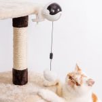 Automatic Interactive Electric Cat Toy | Joy for your feline friend