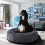 XXL Orthopedic Cushion: The #1 Calming Bed for Large Dogs