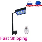 Transform Your Aquarium with LED Brilliance