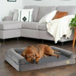 Upgrade Your Dog’s Sleep: XXL Cozy Orthopedic Bed for Ultimate Comfort