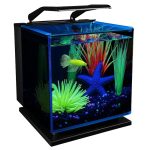 3 Gallon Betta Glass Aquarium with LED