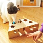 Cat Playtime: Wooden mouse toy for stylish adventures